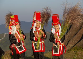 Sống lại những mùa cổ điển