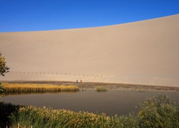 Sắc vàng huyền thoại trên Con đường tơ lụa