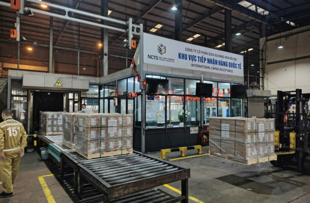 Sự tập trung cao độ trong khâu đối soát chứng từ và kiểm tra thông tin tờ khai.