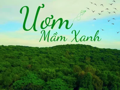 mv-uom-mam-xanh-1244.png